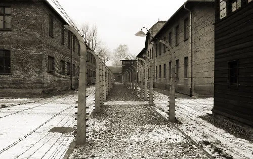 Campos de concentração do Reich Alemão, principal características do movimento nazista